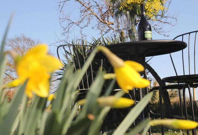 هتل روستایی Agriturismo La Talpa