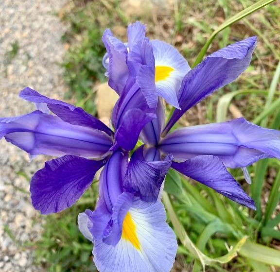 هتل روستایی Agriturismo La Talpa