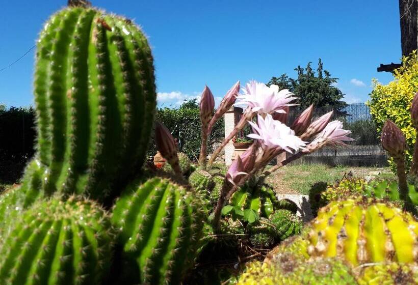 هتل روستایی Agriturismo La Talpa
