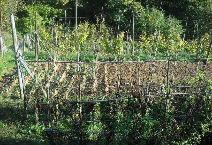 هتل روستایی Agriturismo Mamma Chica