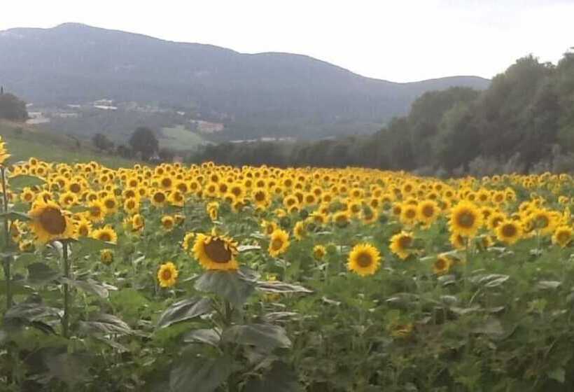 田舎風ホテル Agriturismo Palazzo Bello