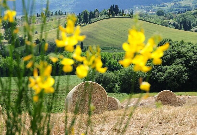 田舎風ホテル Agriturismo Palazzo Bello