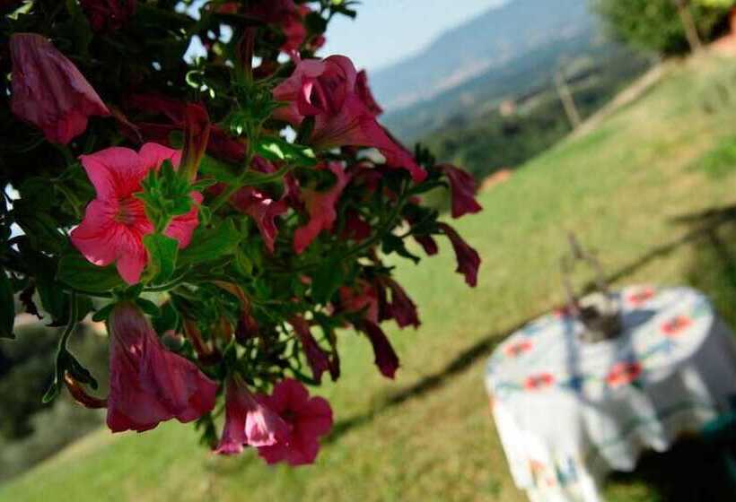 乡村酒店  Agriturismo Podere Picciolo