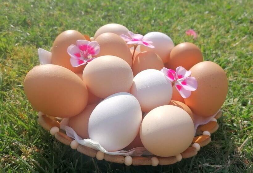 בית מלון כפרי Bioagriturismo Sofia