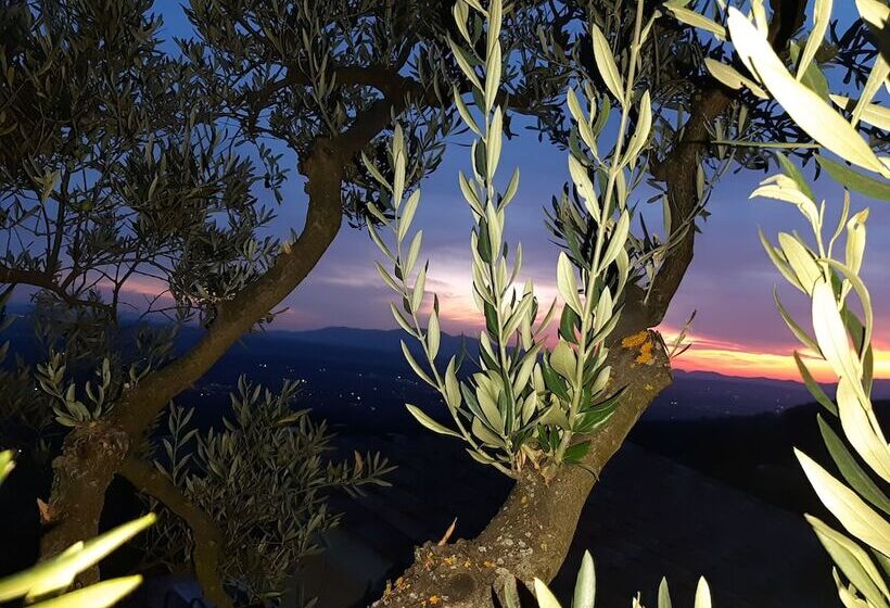 בית מלון כפרי Borgo La Casetta