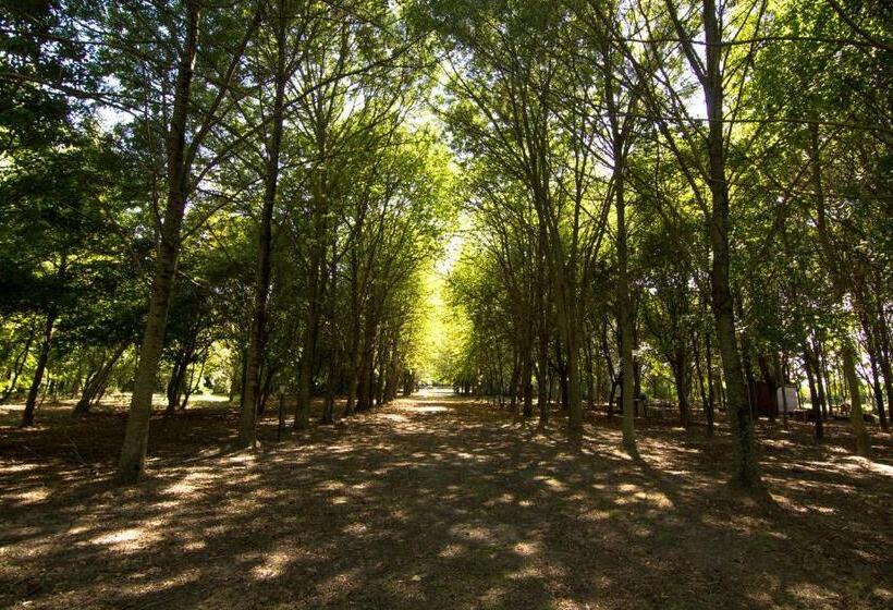 בית מלון כפרי Casolare La Quercia