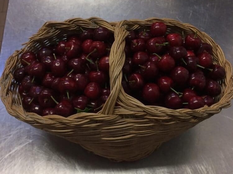 هتل روستایی Oasi Battifoglia