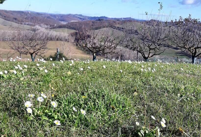 Сельский отель San Lorenzo Agriturismo