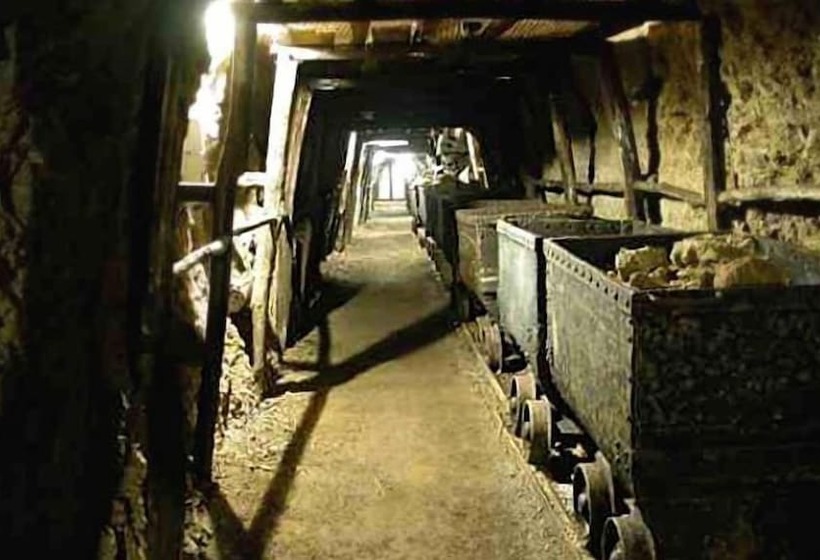 فندق ريفى Tenuta Il Sassone   Wine & Food