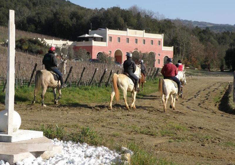 فندق ريفى Tenuta Il Sassone   Wine & Food