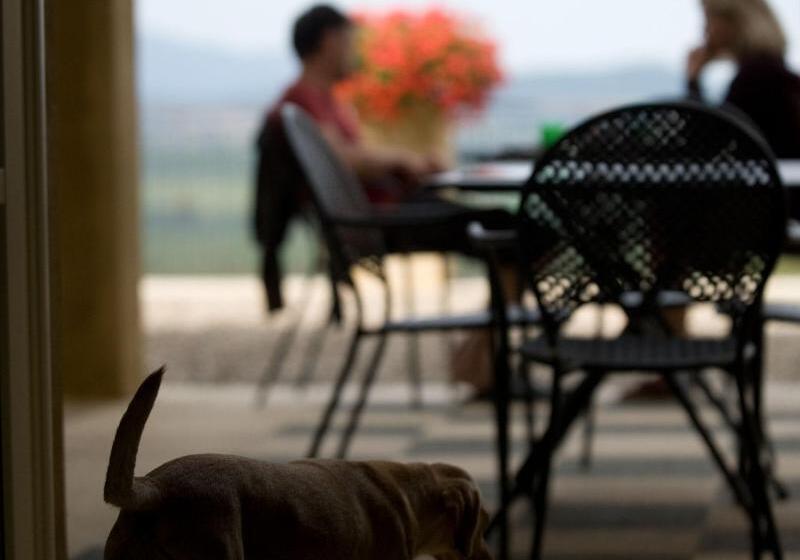 فندق ريفى Tenuta Il Sassone   Wine & Food