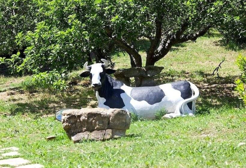 בית מלון כפרי Villino Il Corbezzolo A Casa Conti Di Sotto