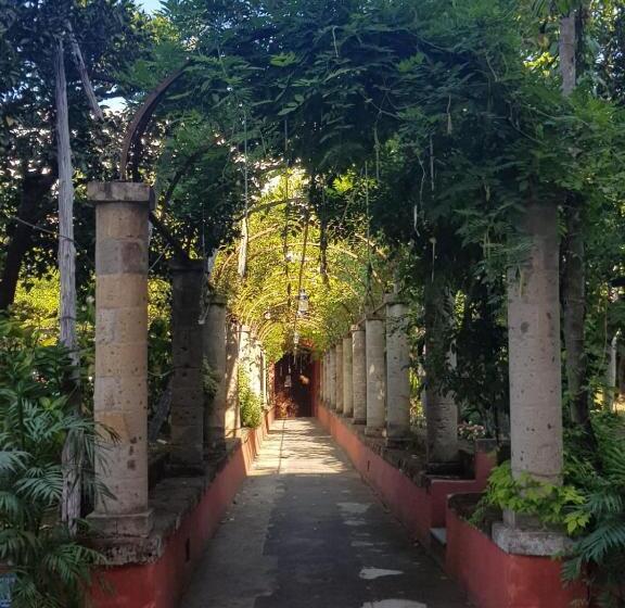 פנסיון Caluga House