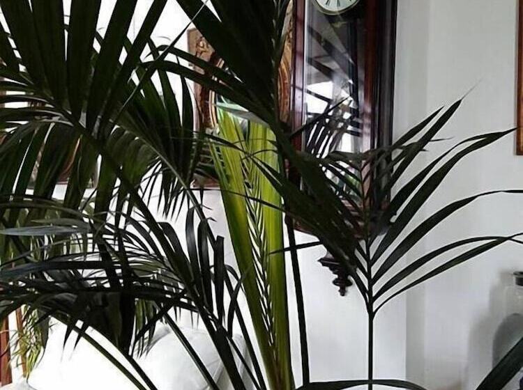 פנסיון Il Camaleonte