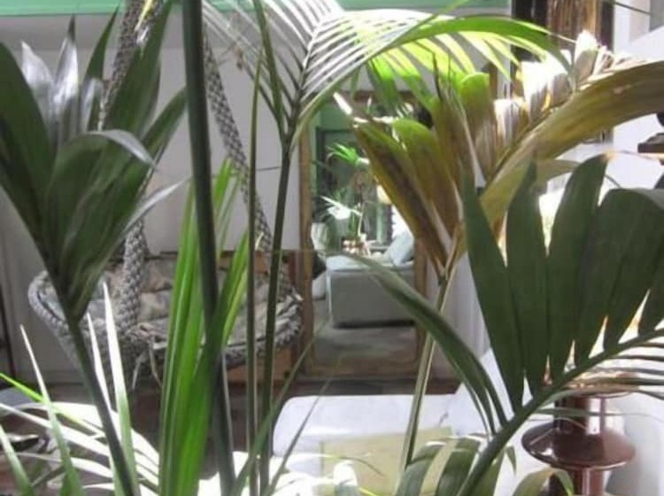 פנסיון Il Camaleonte