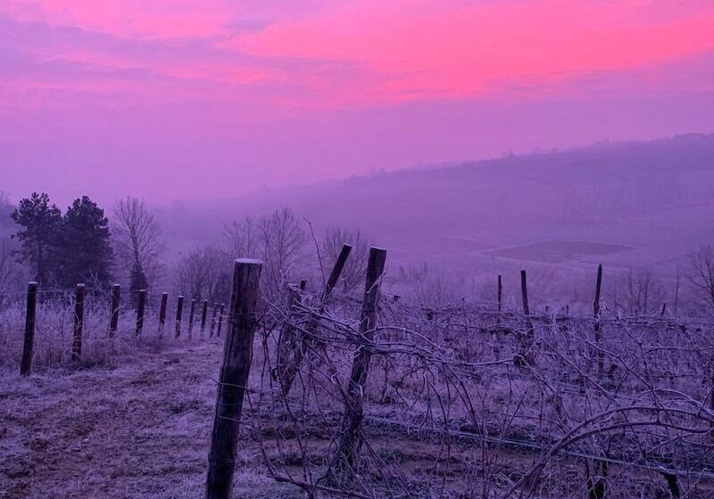 بنسيون Laficaia Wine Resort