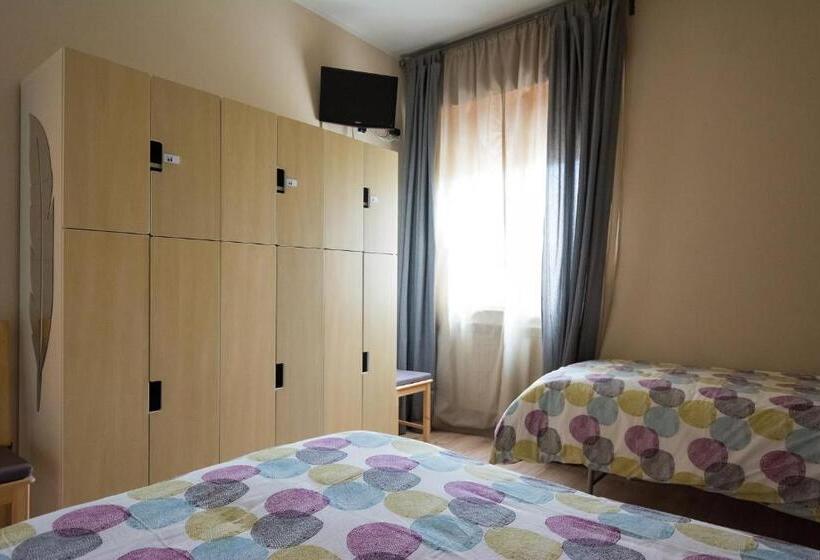 פנסיון Snowake House