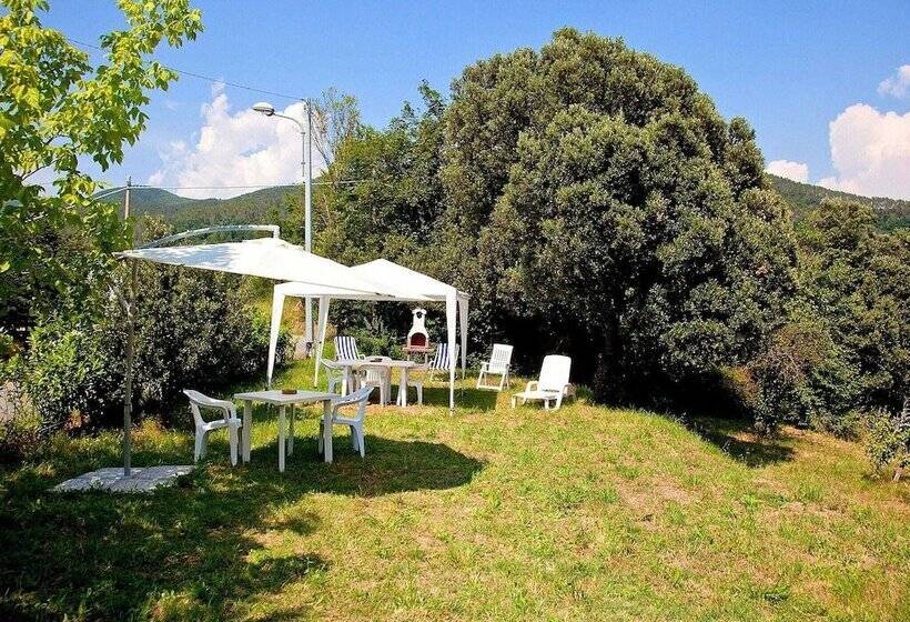 Spacious Home Surrounded By Nature