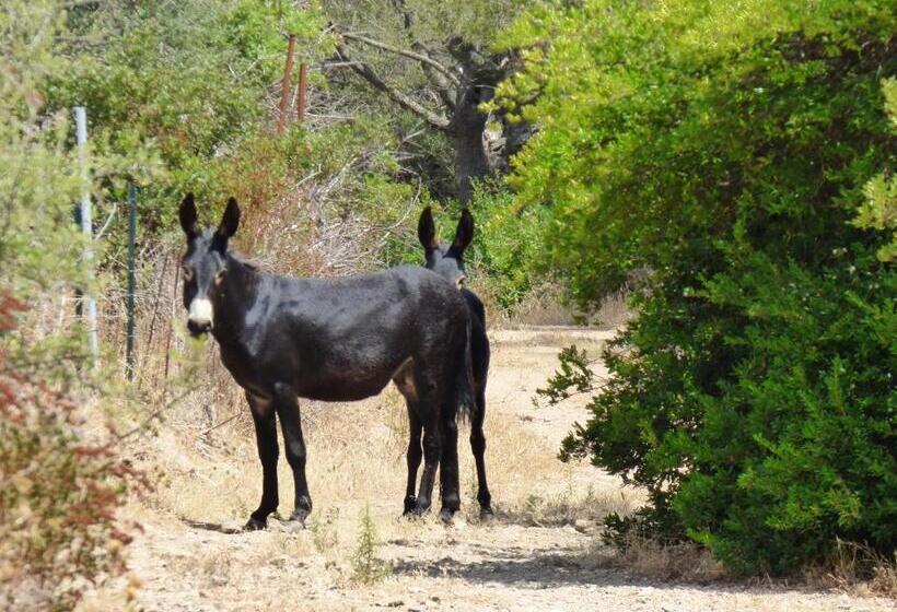Agriturismo La Rocca Manna