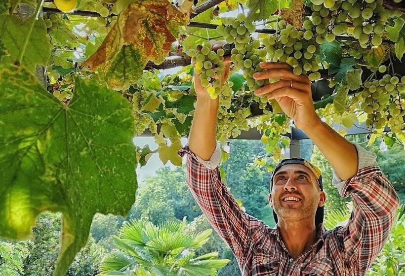 Al Nifontano B&b Ideal For Family Or Couples 2 Rooms Lakeview