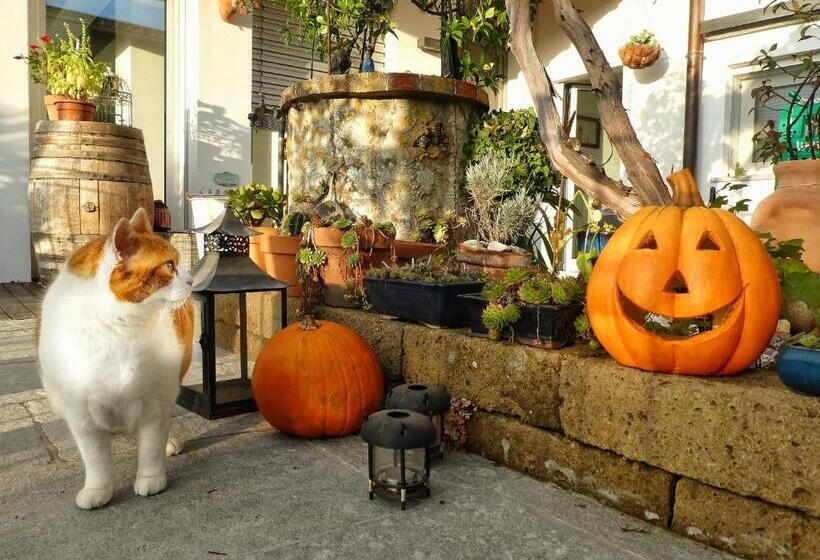 Al Nifontano B&b Ideal For Family Or Couples 2 Rooms Lakeview