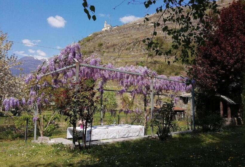 B&b Carunei