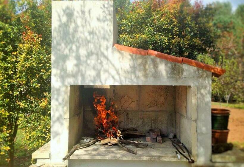 ベッドアンドブレックファースト La Macchia