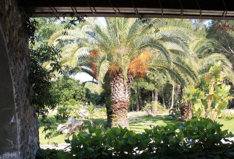 تختخواب و صبحانه La Macchia