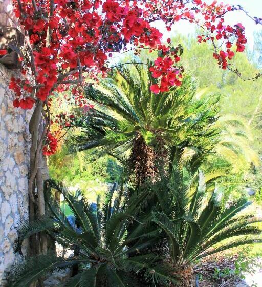 ベッドアンドブレックファースト La Macchia