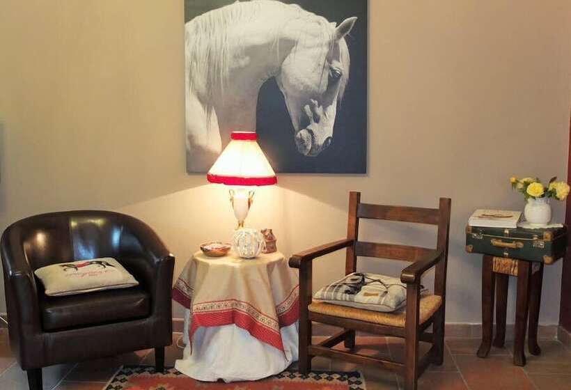 تختخواب و صبحانه A Casa Mia Soloindue