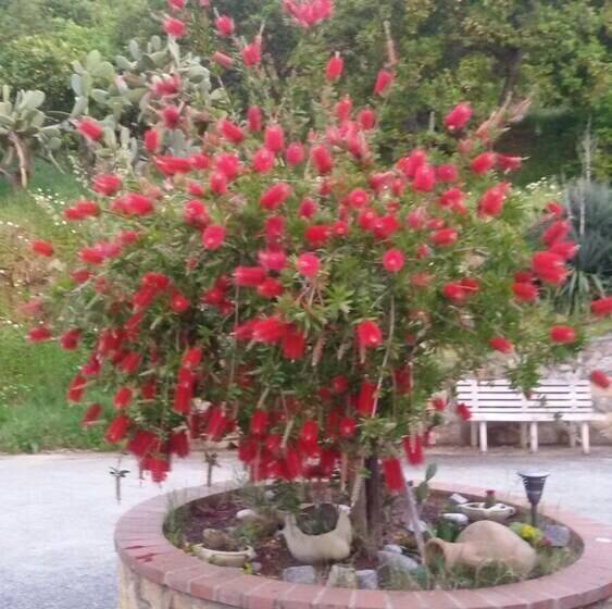 住宿加早餐  Baciati Dal Sole