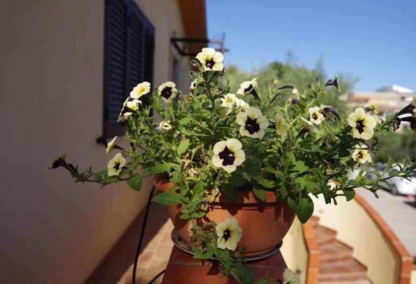 צימר Balconcino Sugli Ulivi