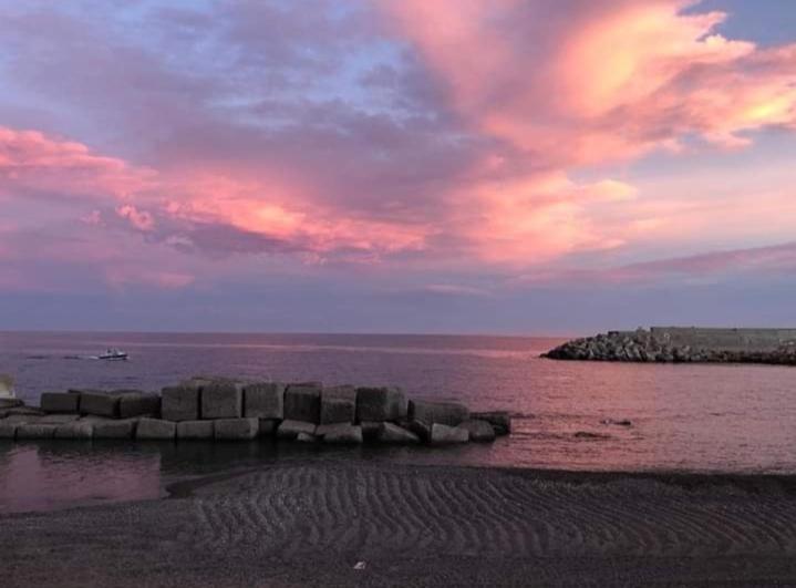 Bed and Breakfast Casale Degli Ulivi