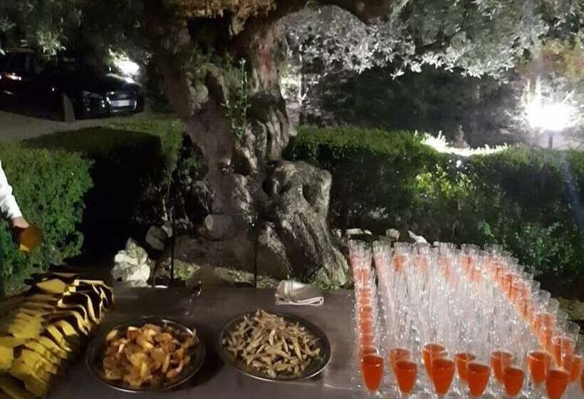 Bed and Breakfast Casale Degli Ulivi