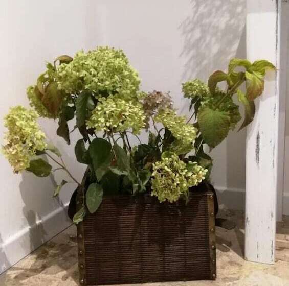 Bed and Breakfast Good Morning Shopping