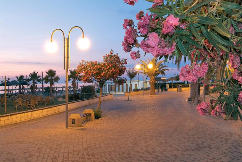 Il Gelso Di Sofia B&b