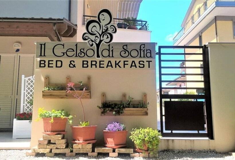 Il Gelso Di Sofia B&b