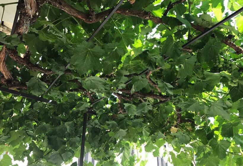 민박 Il Sogno Nel Vento