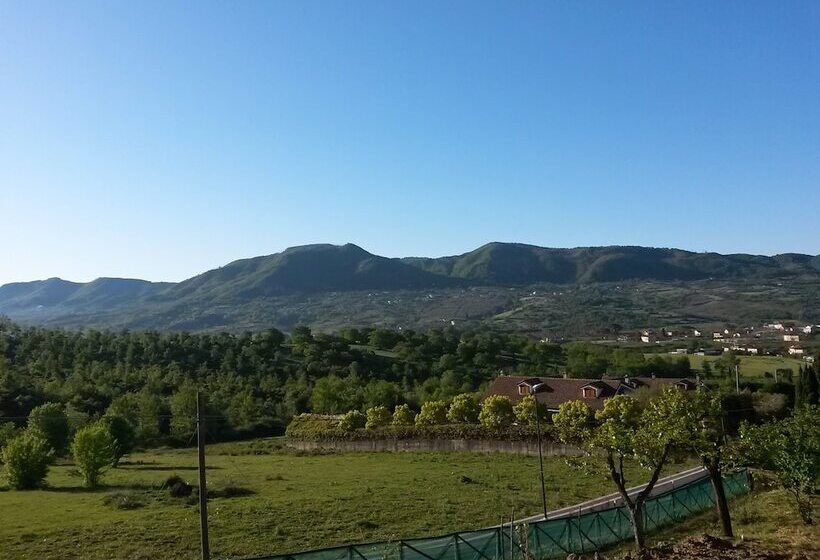 ベッドアンドブレックファースト L Arcadia