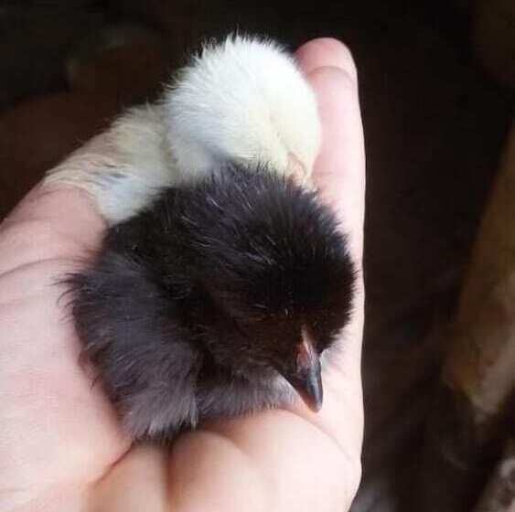 ベッドアンドブレックファースト L Arcadia