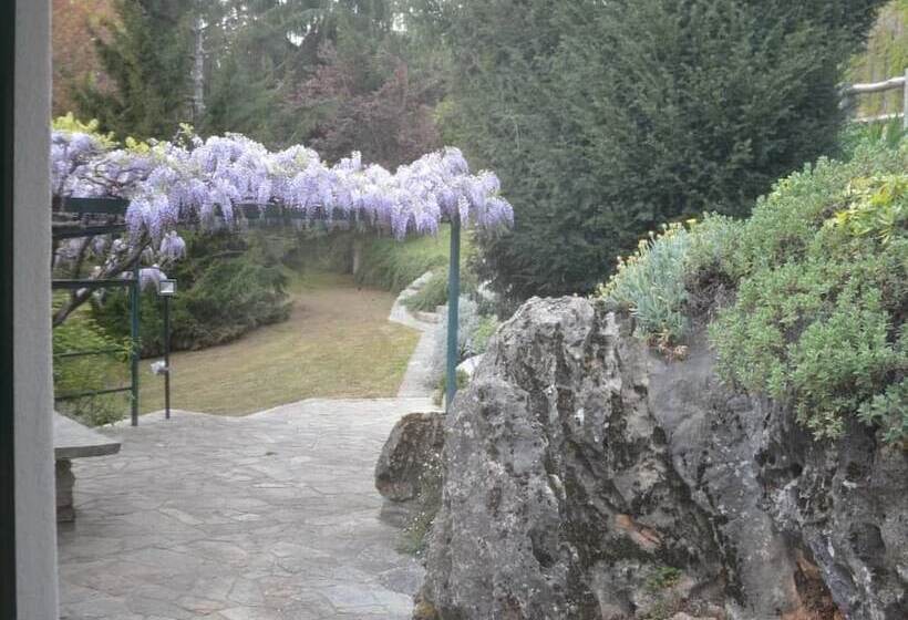 Bed and Breakfast L Uovo E La Faina