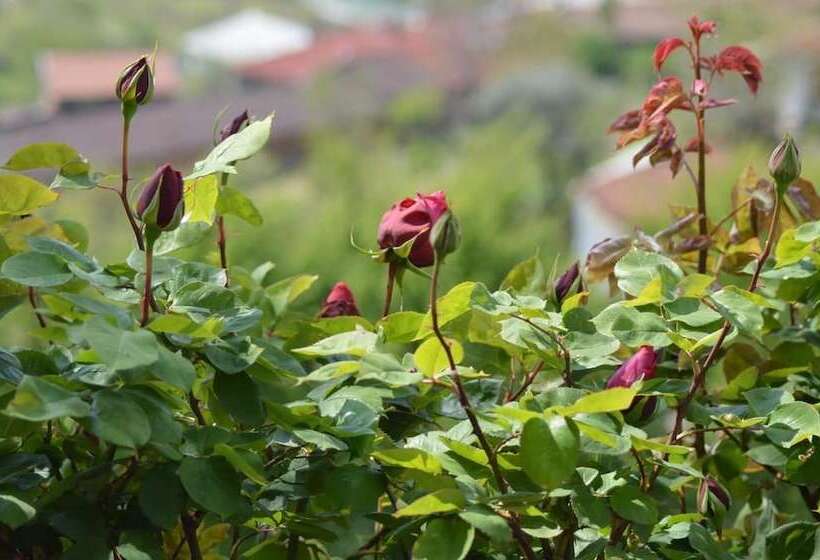 Bed and Breakfast L Uovo E La Faina