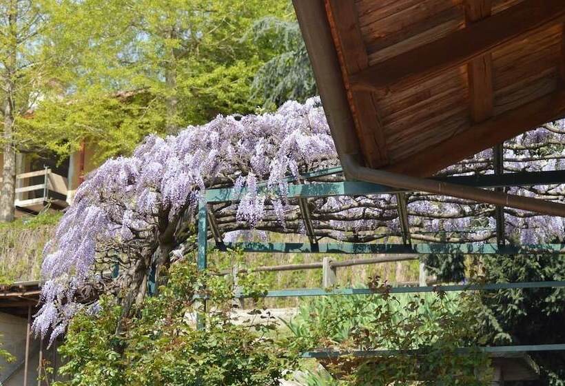 Bed and Breakfast L Uovo E La Faina