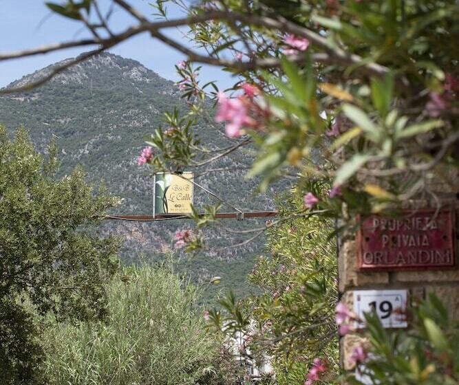 住宿加早餐  Le Calle