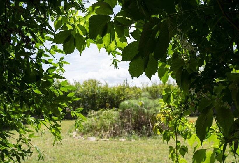 住宿加早餐  Le Calle