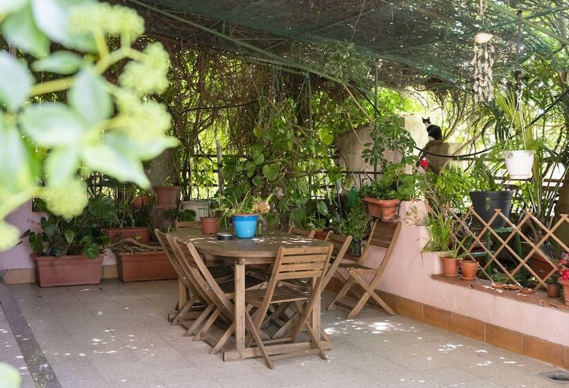 住宿加早餐  Le Calle