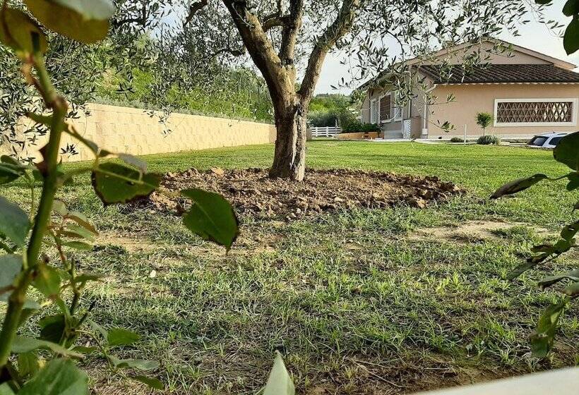 Nocleg ze śniadaniem Le Mammole