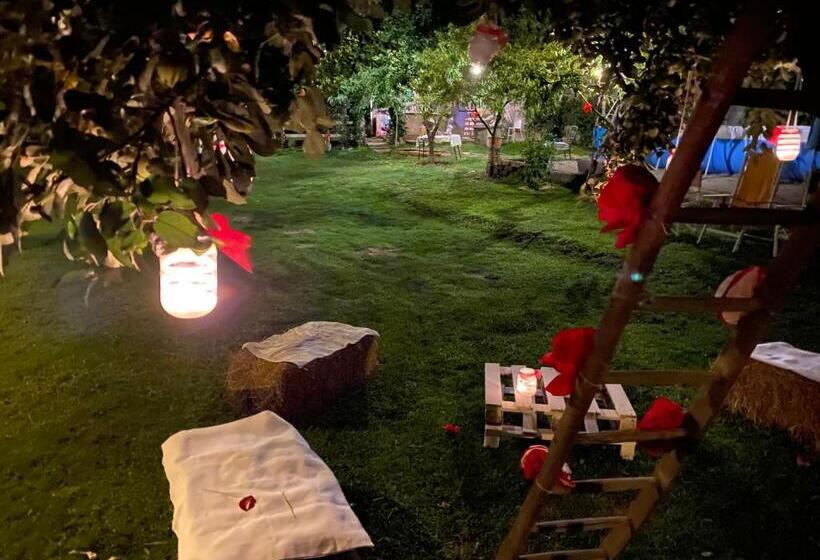 مبيت وإفطار Oca Carolina