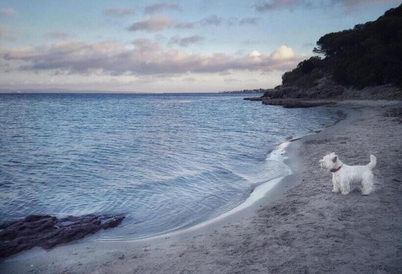 مبيت وإفطار Villa Brigida