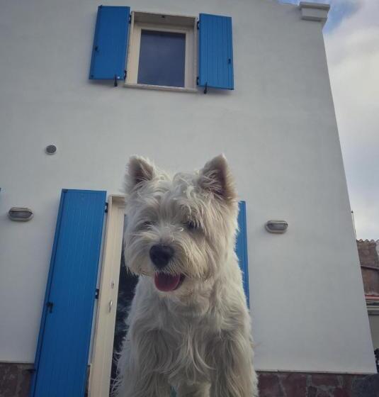 مبيت وإفطار Villa Brigida